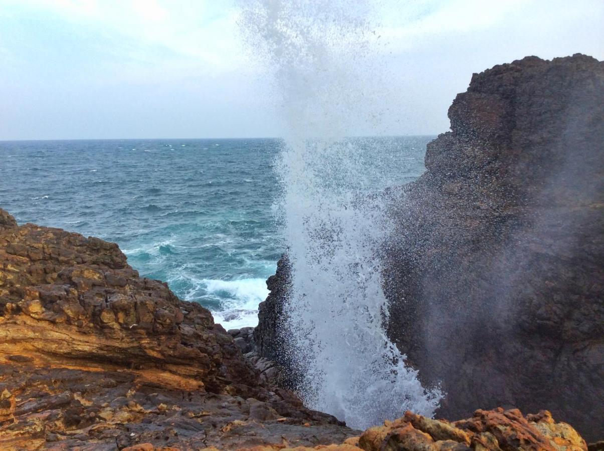 The Nest Ξενοδοχείο Tangalle Εξωτερικό φωτογραφία